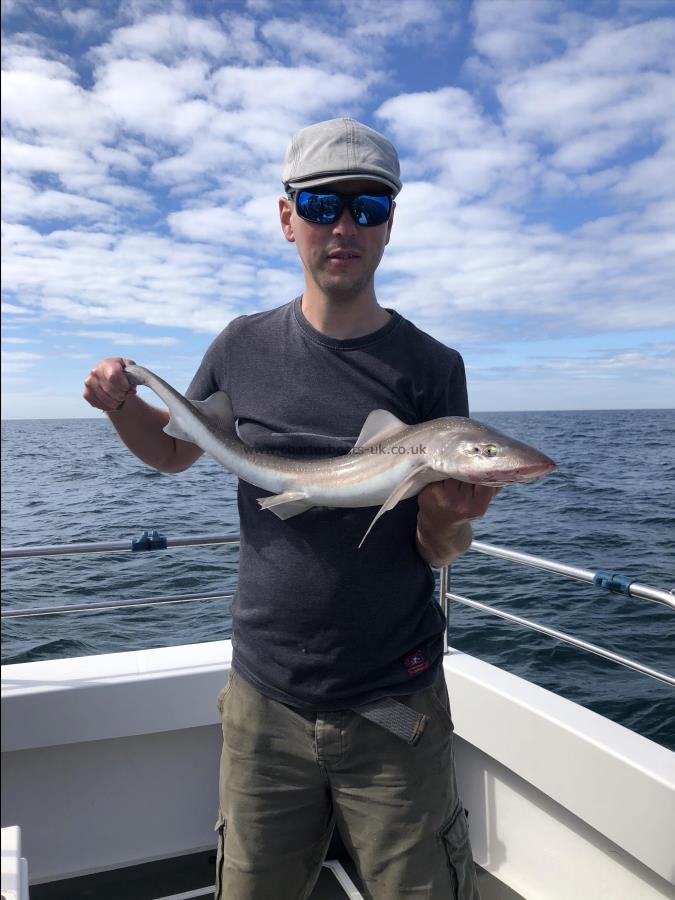 7 lb 8 oz Starry Smooth-hound by Graham