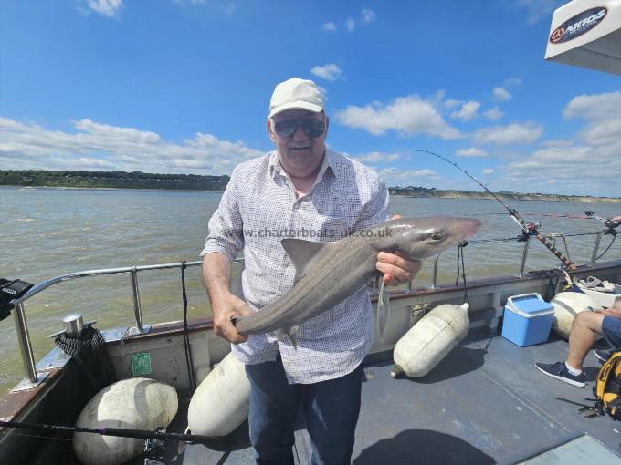 9 lb Smooth-hound by Unknown