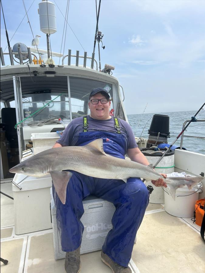 45 lb 8 oz Tope by Dan Wallace