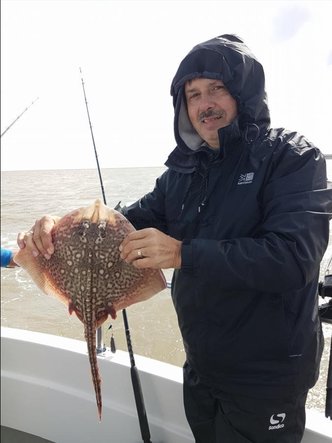 3 lb Thornback Ray by Jack