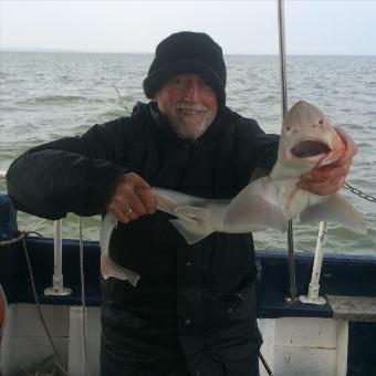 5 lb Smooth-hound by Mick