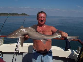 14 lb 1 oz Starry Smooth-hound by John Bruton