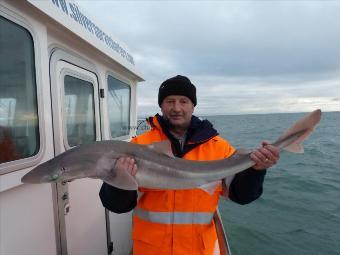 17 lb Spurdog by Wayne macmanus