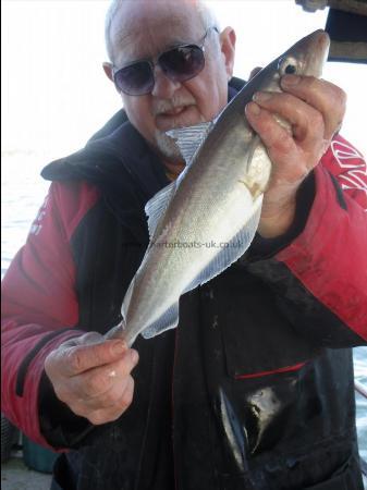 1 lb 8 oz Whiting by Greg