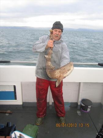 13 lb 8 oz Bull Huss by Unknown