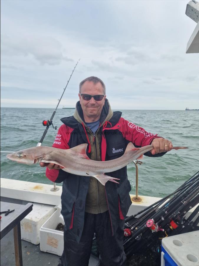 5 lb Smooth-hound (Common) by Tony