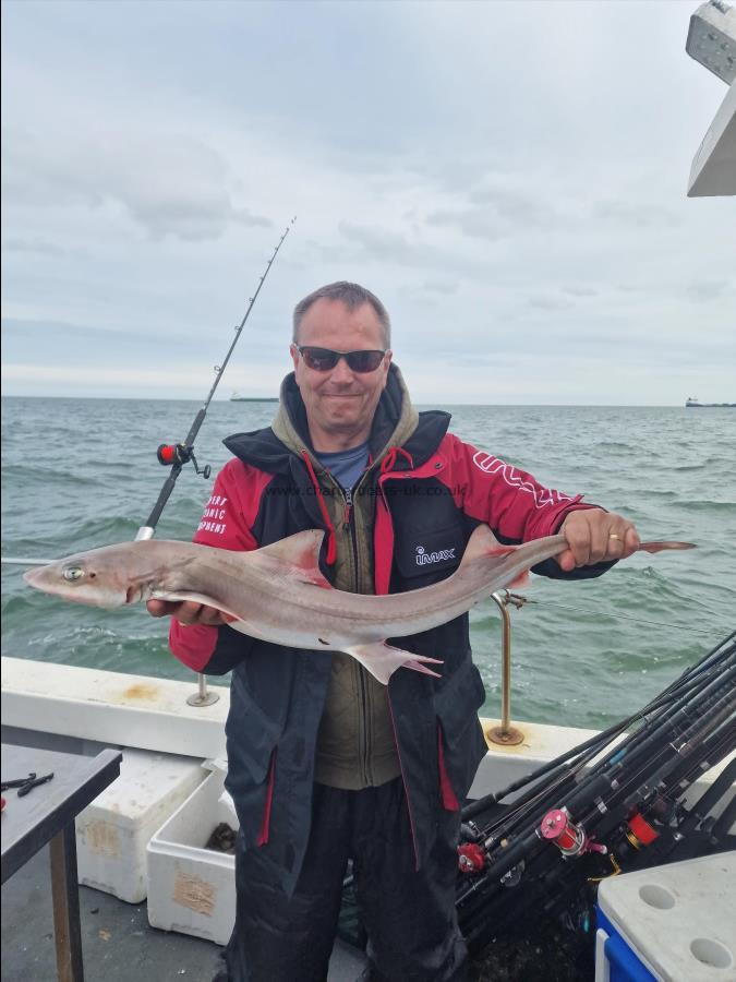 5 lb Smooth-hound by Tony