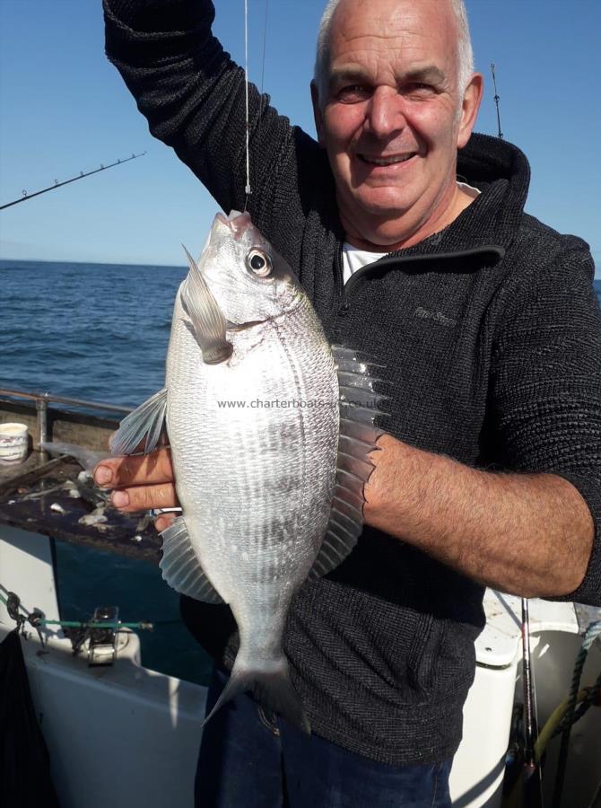 3 lb 8 oz Black Sea Bream by daves bream