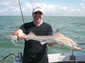 10 lb Smooth-hound (Common) by Unknown