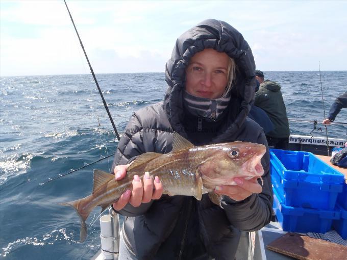 2 lb 12 oz Cod by Unknown