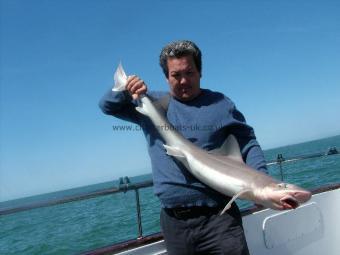 19 lb Smooth-hound (Common) by Gareth Chapman