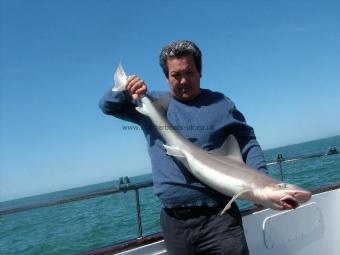 19 lb Smooth-hound by Gareth Chapman