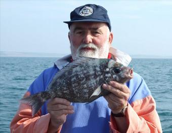 3 lb Black Sea Bream by Paul Lawson