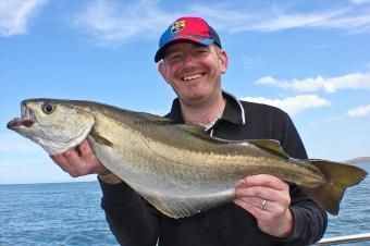 6 lb 12 oz Pollock by Dave