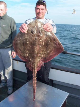 13 lb 12 oz Thornback Ray by Steve