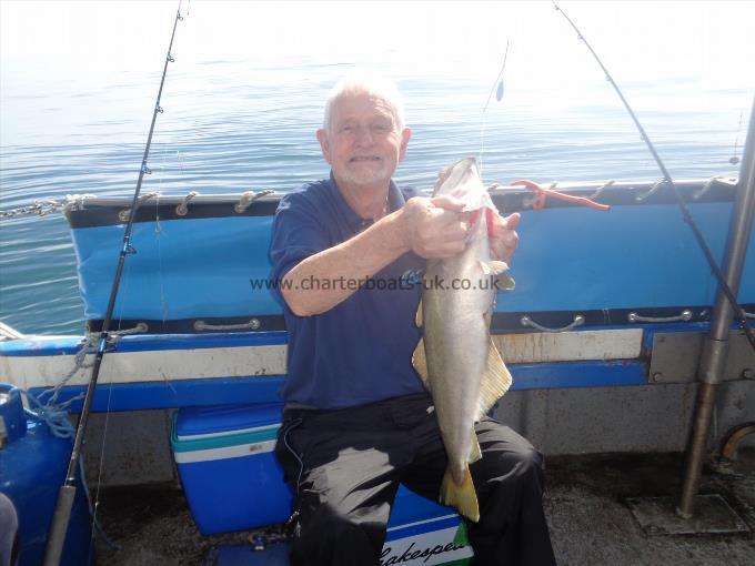 8 lb 12 oz Pollock by caught by ken