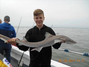 6 lb 5 oz Starry Smooth-hound by Cairn