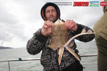 2 lb Spotted Ray by Dave