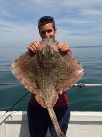 13 lb Undulate Ray by Unknown