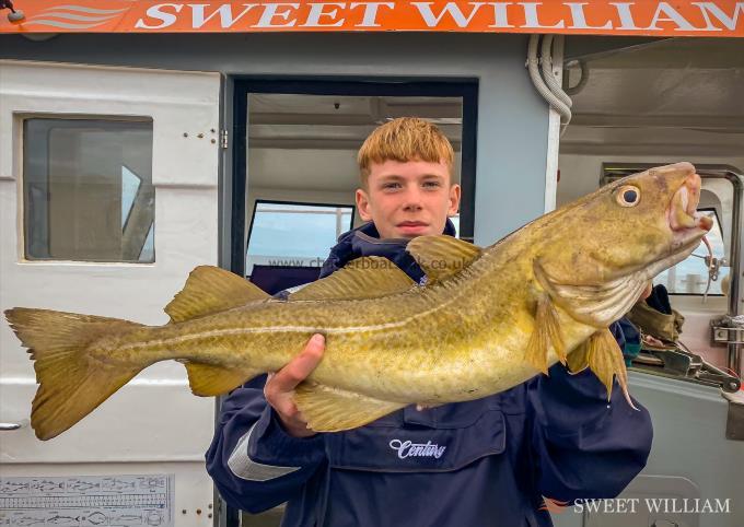 11 lb Cod by Henry Sharp
