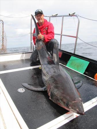 175 Kg Porbeagle by hamish currie