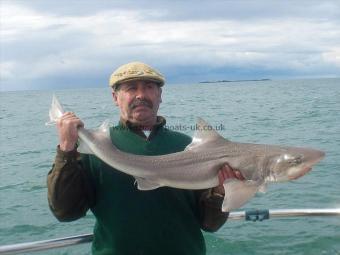 15 lb 2 oz Starry Smooth-hound by Dic Doc