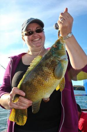 2 lb Ballan Wrasse by Kirsti