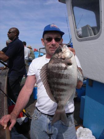 3 lb 7 oz Black Sea Bream by Unknown