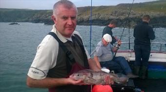 4 lb Haddock by mark