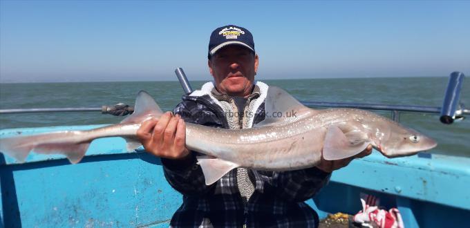 9 lb 8 oz Smooth-hound by Paul