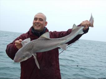 10 lb Starry Smooth-hound by Unknown