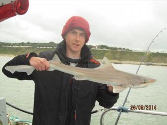 5 lb Smooth-hound by Corey