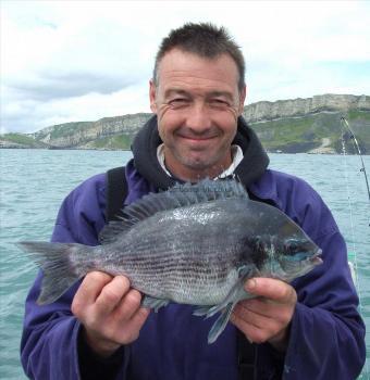 2 lb 12 oz Black Sea Bream by Glenn Barrett