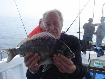 2 lb 6 oz Black Sea Bream by Ken