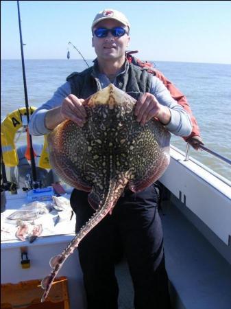 13 lb Thornback Ray by Andy