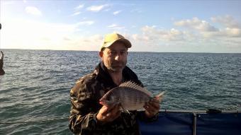 2 lb 10 oz Black Sea Bream by Stephen Wake