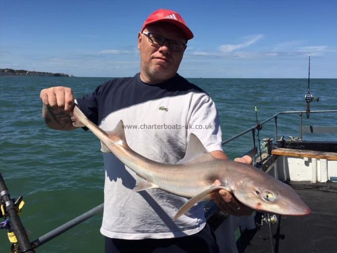 6 lb Smooth-hound by Unknown