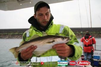 2 lb Pollock by Lewis