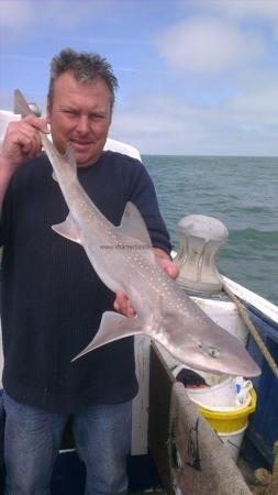 6 lb Smooth-hound by Roger