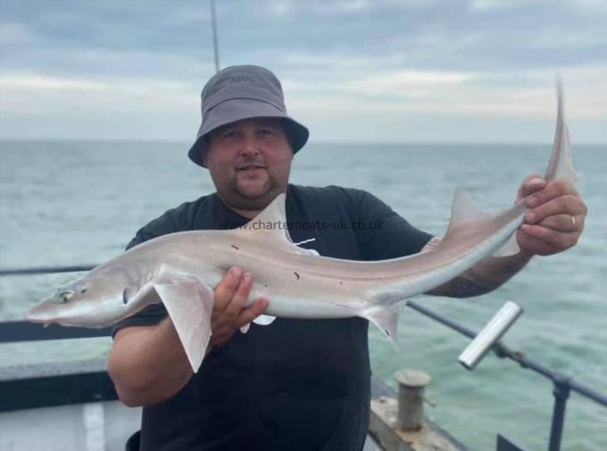 6 lb Smooth-hound (Common) by Unknown