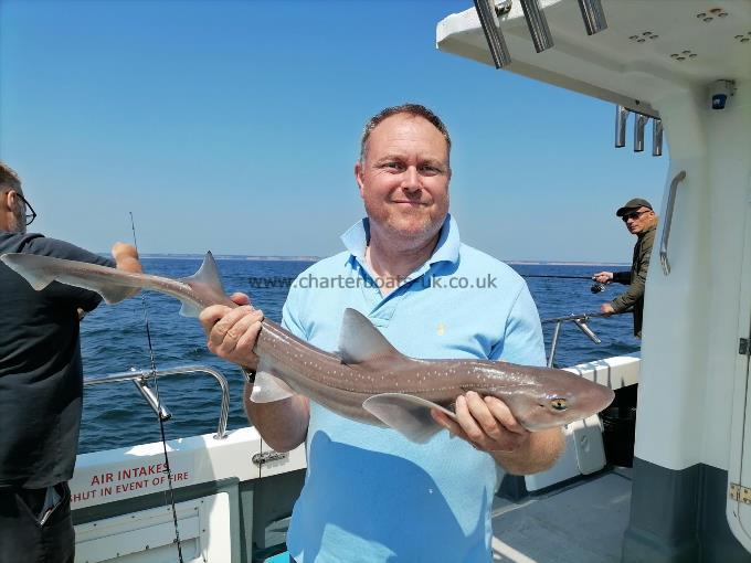 4 lb 3 oz Starry Smooth-hound by Unknown