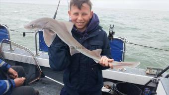 5 lb 2 oz Smooth-hound (Common) by Young Alex