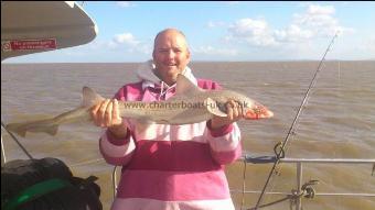 8 lb Starry Smooth-hound by andrew wilson