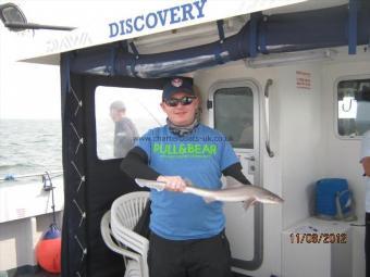4 lb Smooth-hound by Unknown