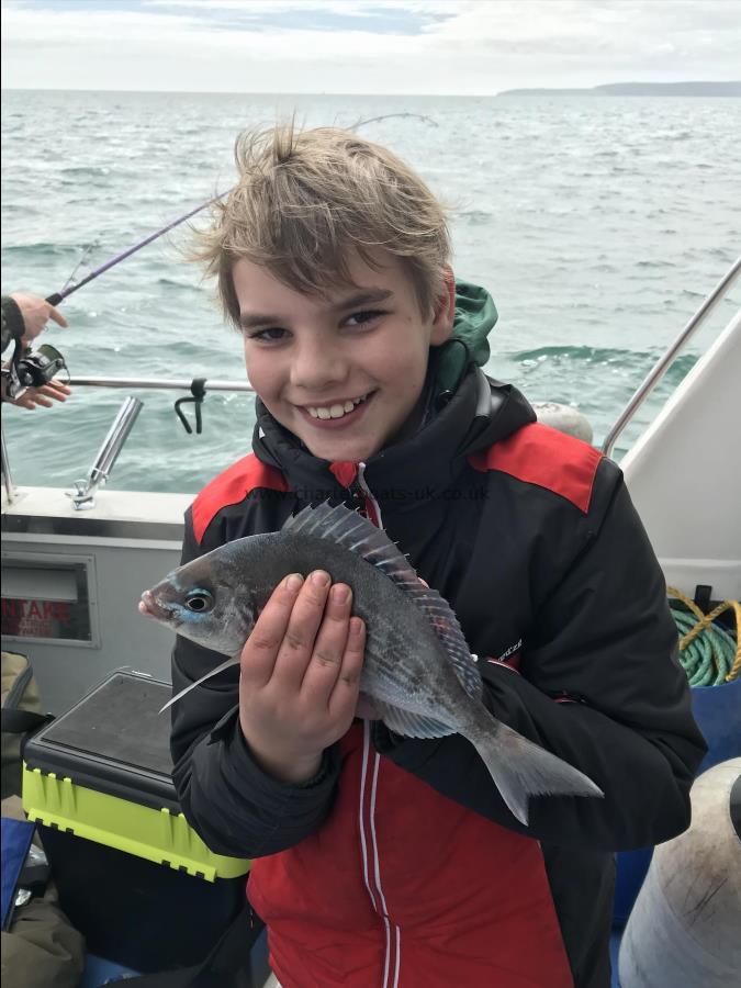 1 lb Black Sea Bream by Theo with his 1st ever bream