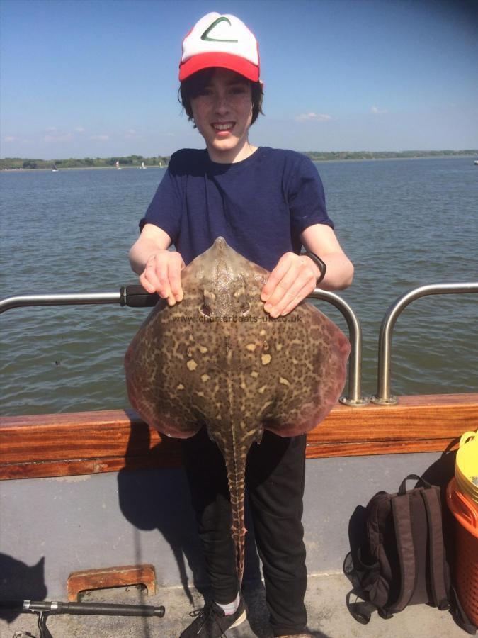 7 lb Thornback Ray by Finn