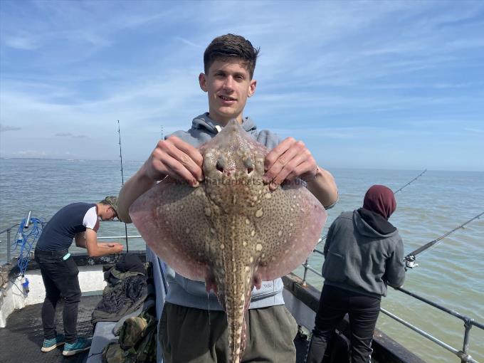 6 lb Thornback Ray by Unknown