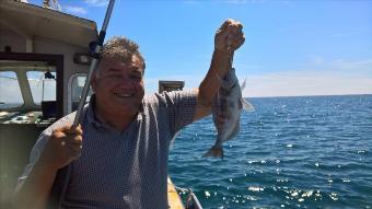 1 lb 8 oz Black Sea Bream by Stephen Wake