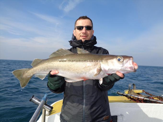 8 lb 2 oz Pollock by Sorin