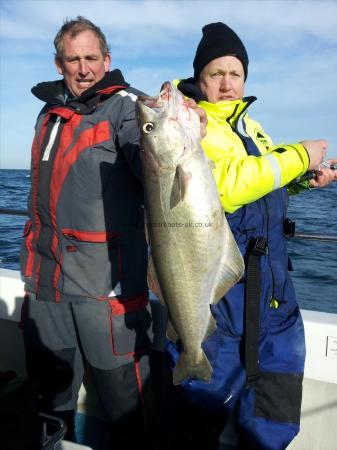 13 lb Pollock by Stuart Cross